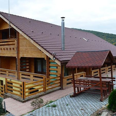 Pensiunea Mihaiu Sasului Virciorog Ngoại thất bức ảnh
